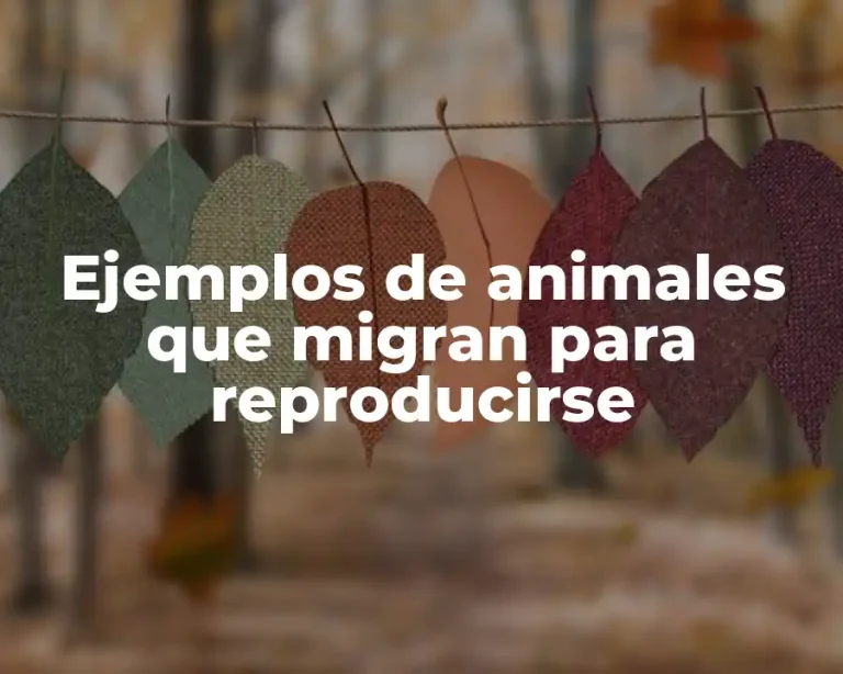 Ejemplos de animales que migran para reproducirse