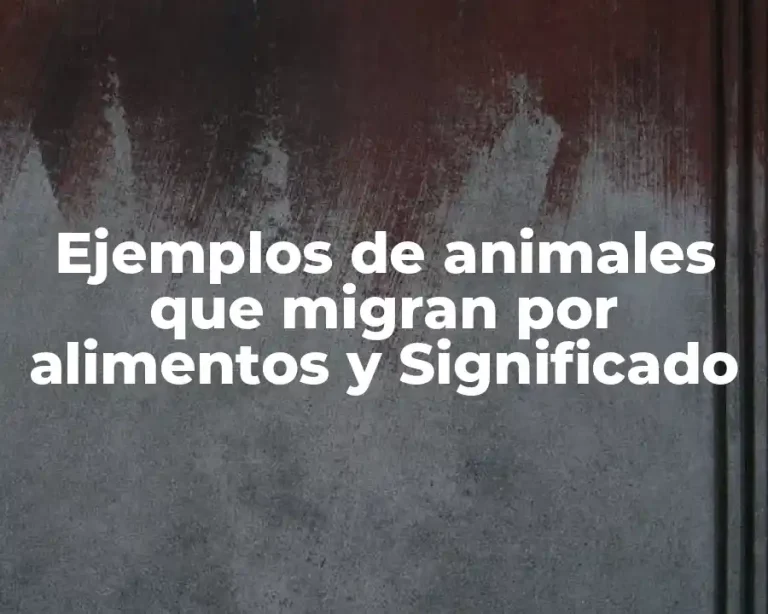 Ejemplos de animales que migran por alimentos y Significado