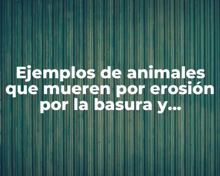 Ejemplos de animales que mueren por erosión por la basura y Significado