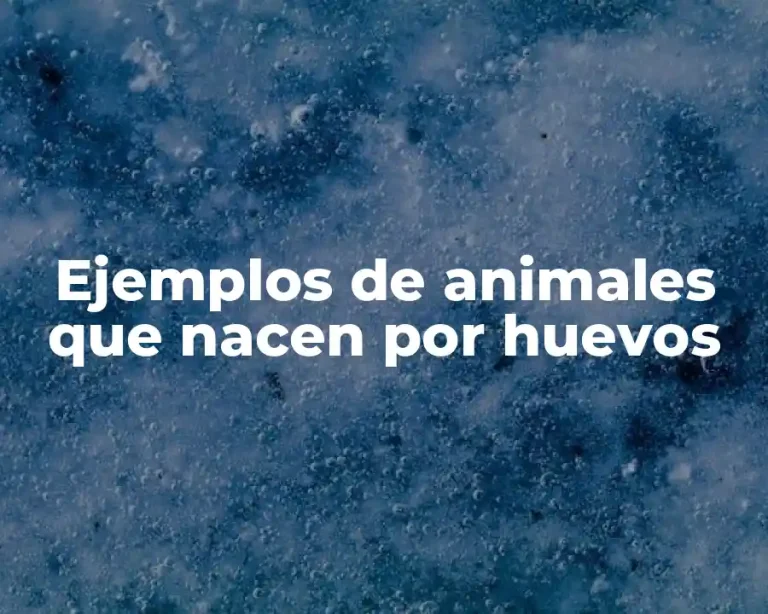 Ejemplos de animales que nacen por huevos