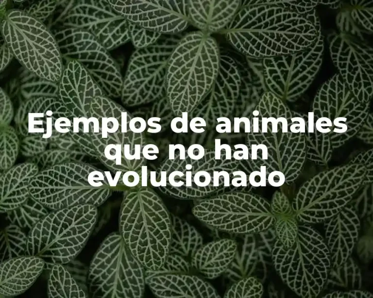 Ejemplos de animales que no han evolucionado