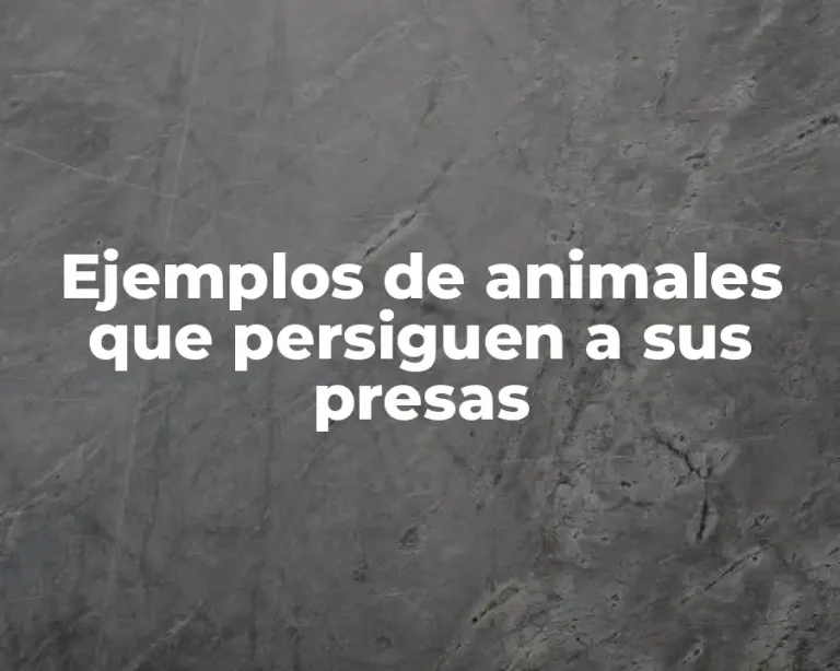 Ejemplos de animales que persiguen a sus presas