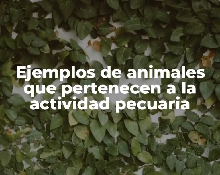 Ejemplos de animales que pertenecen a la actividad pecuaria