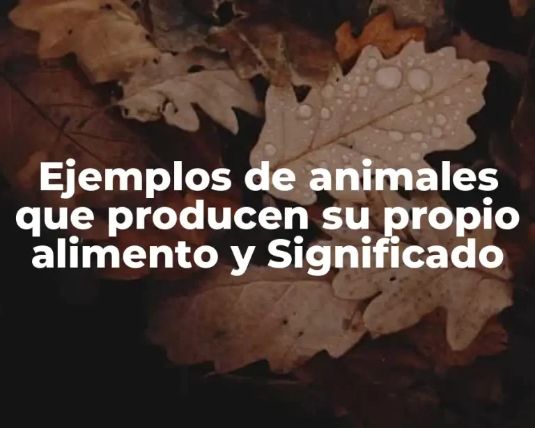 Ejemplos de animales que producen su propio alimento y Significado