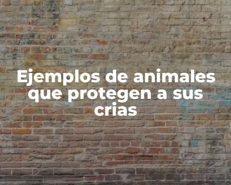 Ejemplos de animales que protegen a sus crias