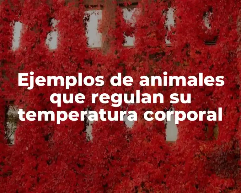 Ejemplos de animales que regulan su temperatura corporal