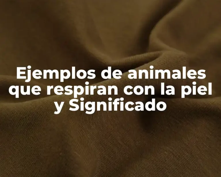 Ejemplos de animales que respiran con la piel y Significado