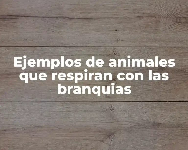 Ejemplos de animales que respiran con las branquias