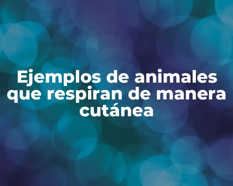 Ejemplos de animales que respiran de manera cutánea