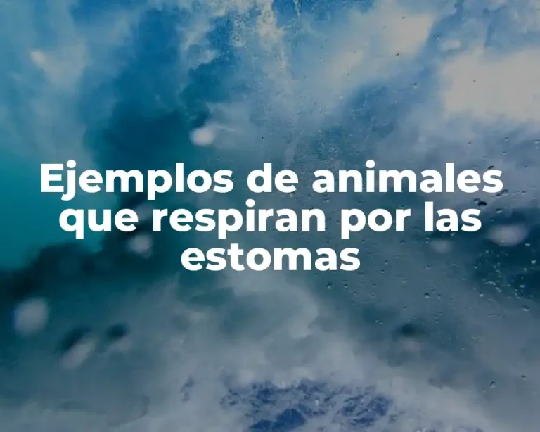 Ejemplos de animales que respiran por las estomas
