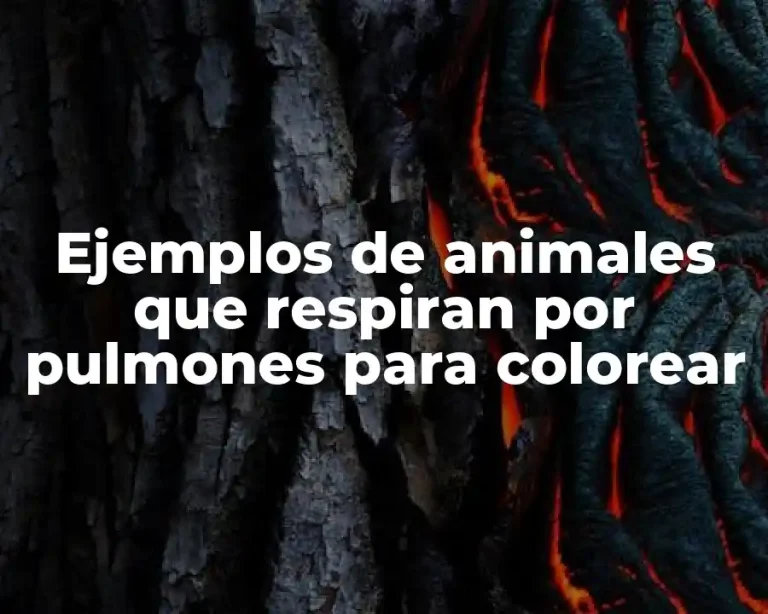 Ejemplos de animales que respiran por pulmones para colorear