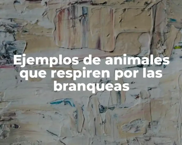 Ejemplos de animales que respiren por las branqueas
