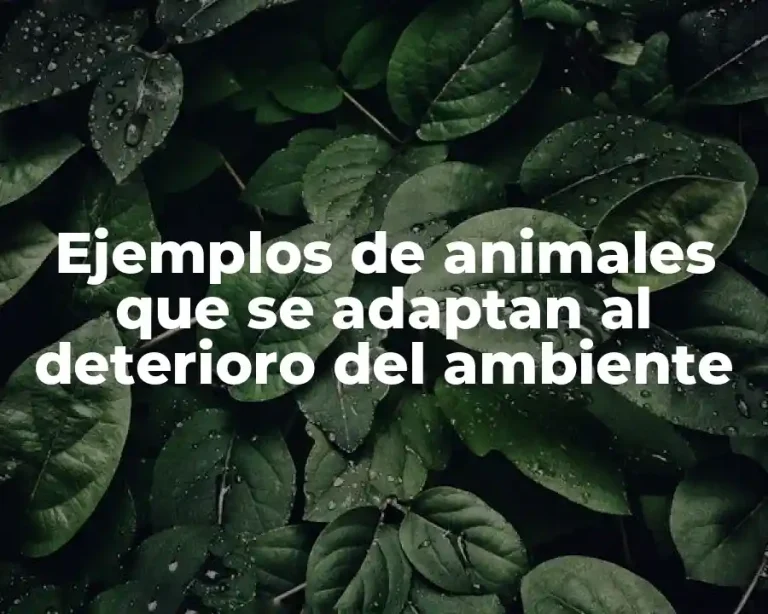 Ejemplos de animales que se adaptan al deterioro del ambiente