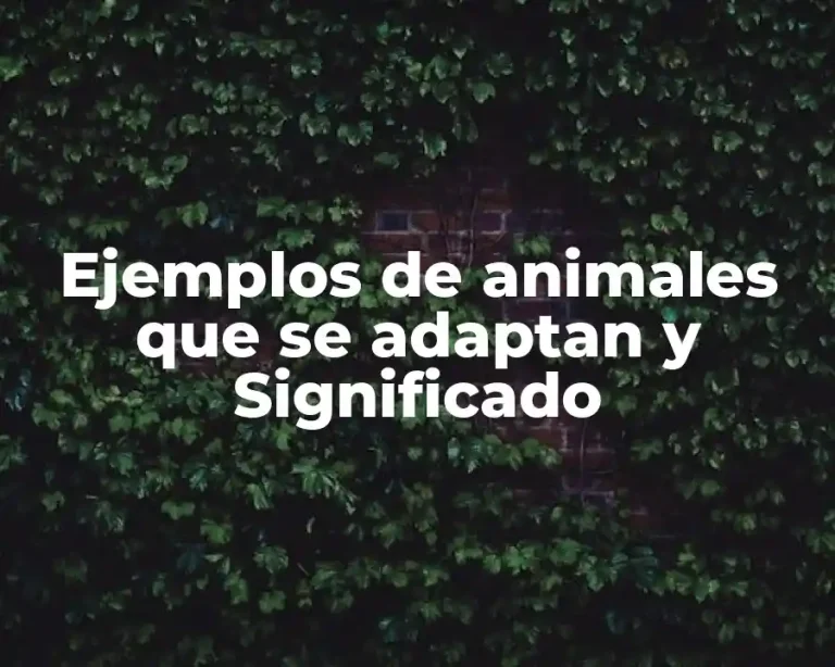 Ejemplos de animales que se adaptan y Significado