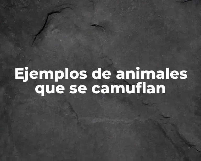 Ejemplos de animales que se camuflan