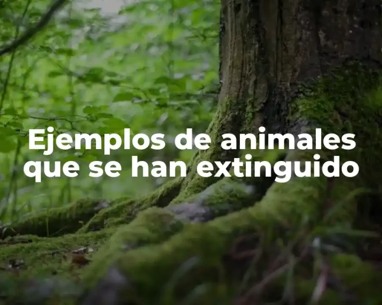 Ejemplos de animales que se han extinguido