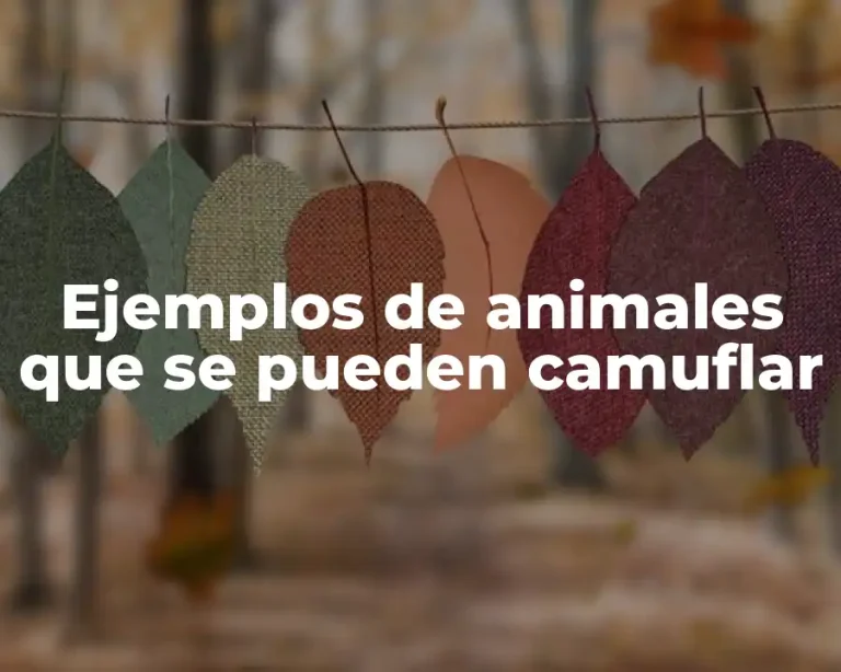 Ejemplos de animales que se pueden camuflar