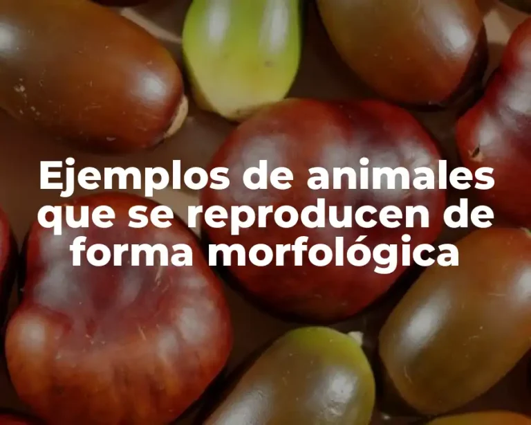 Ejemplos de animales que se reproducen de forma morfológica