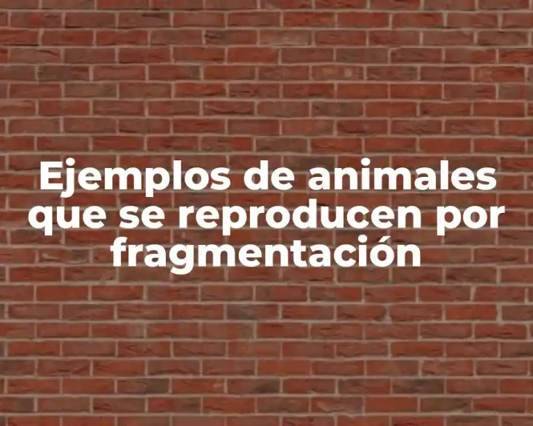 Ejemplos de animales que se reproducen por fragmentación