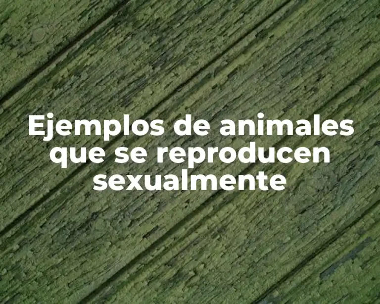 Ejemplos de animales que se reproducen sexualmente