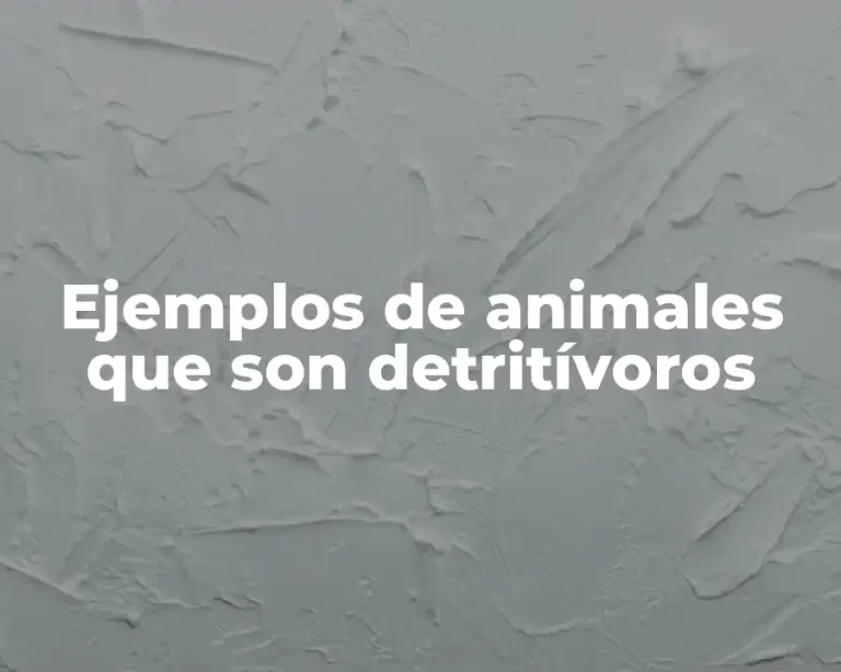 Ejemplos de animales que son detritívoros