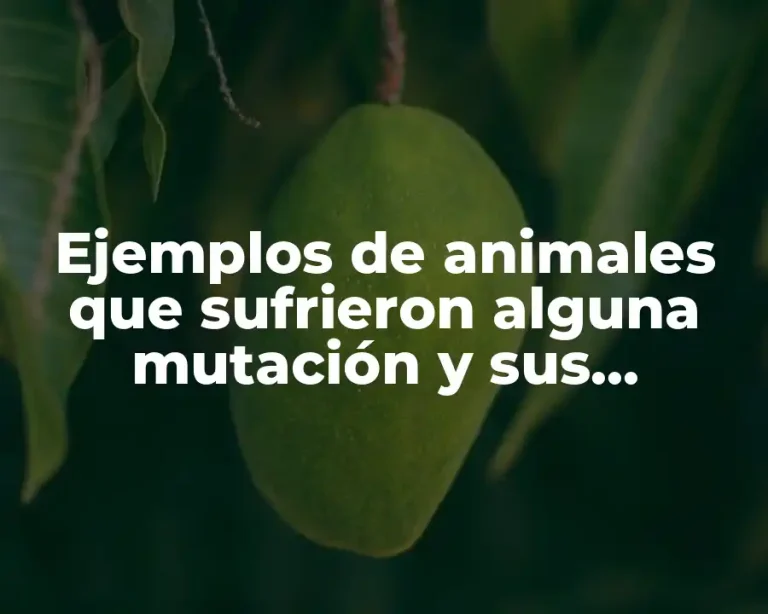 Ejemplos de animales que sufrieron alguna mutación y sus consecuencias