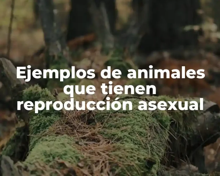 Ejemplos de animales que tienen reproducción asexual