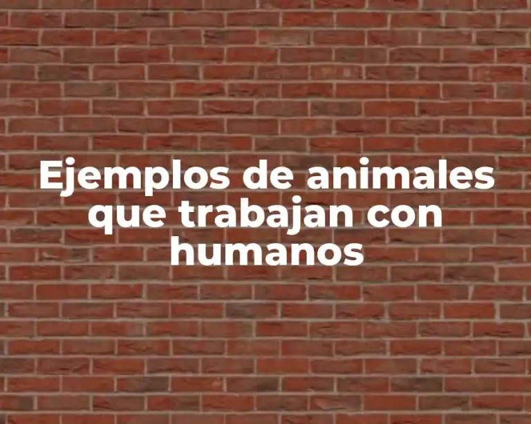 Ejemplos de animales que trabajan con humanos