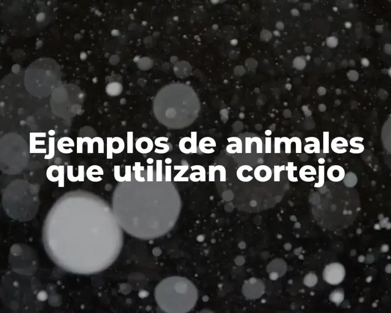 Ejemplos de animales que utilizan cortejo