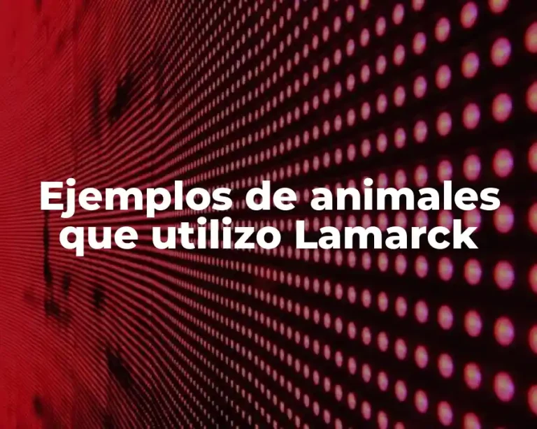 Ejemplos de animales que utilizo Lamarck