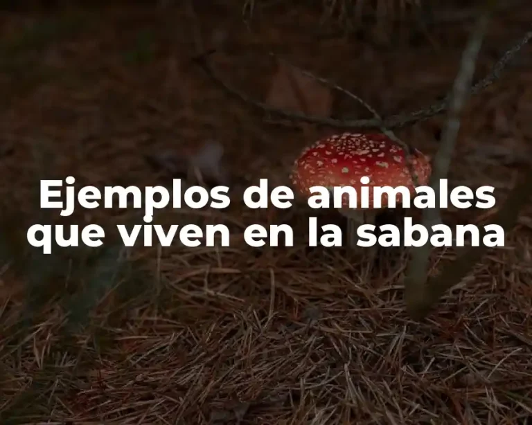 Ejemplos de animales que viven en la sabana
