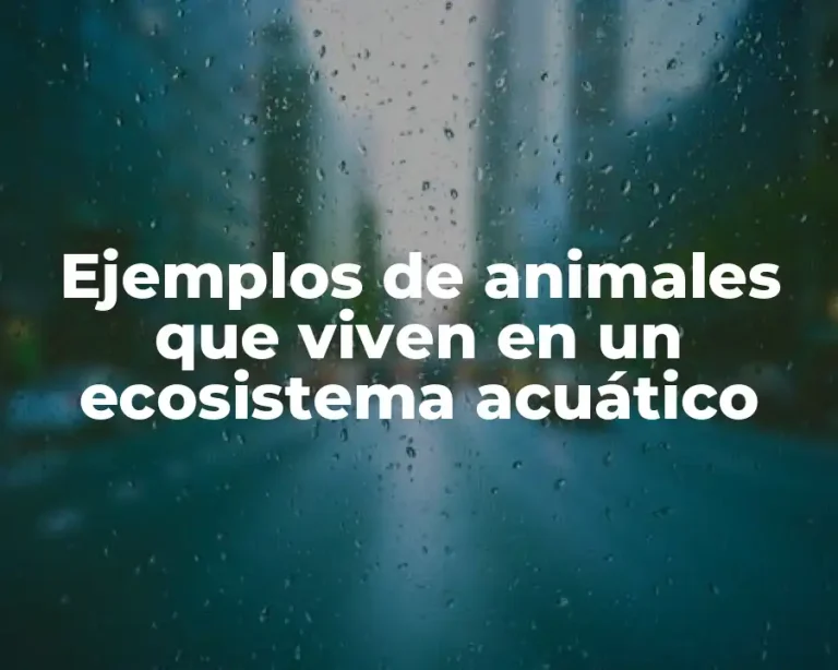 Ejemplos de animales que viven en un ecosistema acuático