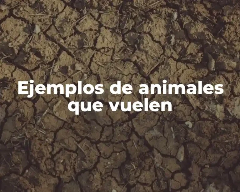 Ejemplos de animales que vuelen