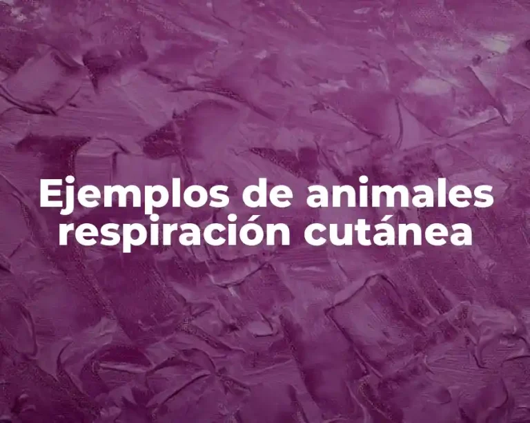 Ejemplos de animales respiración cutánea