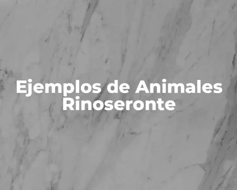 Ejemplos de Animales Rinoseronte