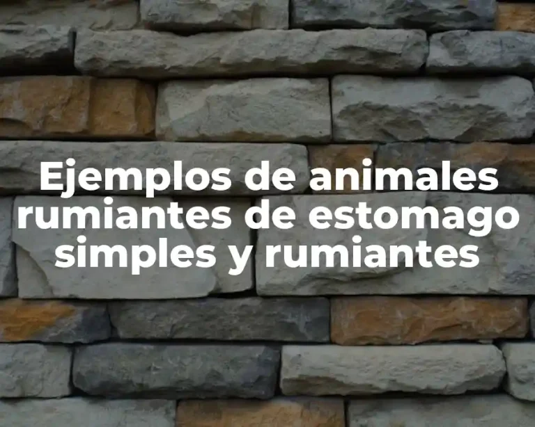 Ejemplos de animales rumiantes de estomago simples y rumiantes