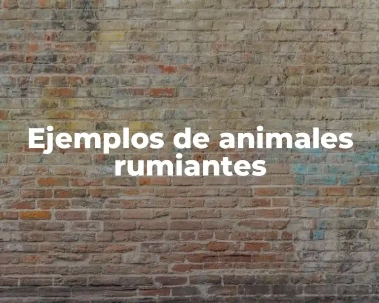 Ejemplos de animales rumiantes