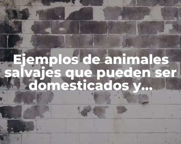 Ejemplos de animales salvajes que pueden ser domesticados y Significado