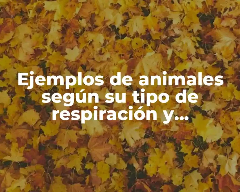 Ejemplos de animales según su tipo de respiración y Significado