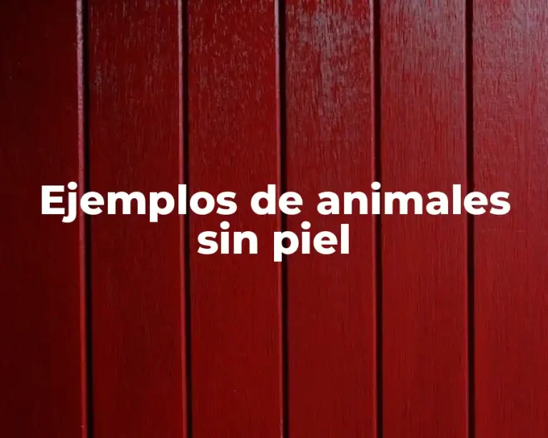 Ejemplos de animales sin piel