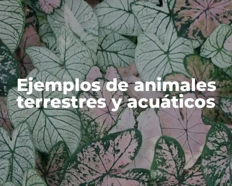 Ejemplos de animales terrestres y acuáticos
