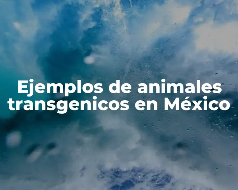 Ejemplos de animales transgenicos en México