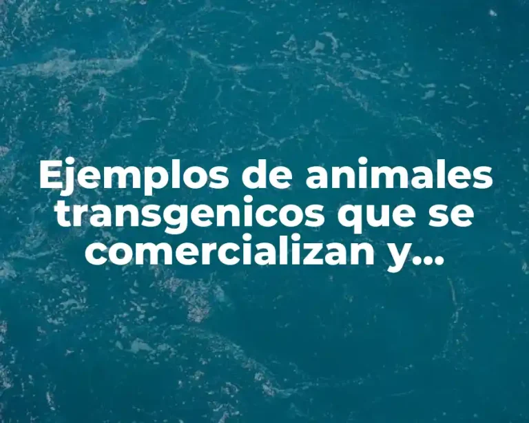 Ejemplos de animales transgenicos que se comercializan y Significado