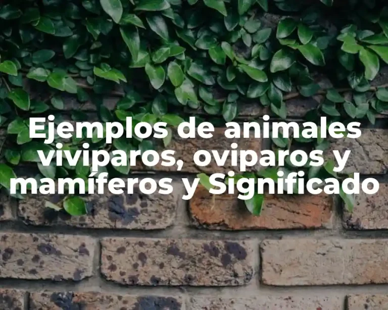Ejemplos de animales viviparos, oviparos y mamíferos y Significado