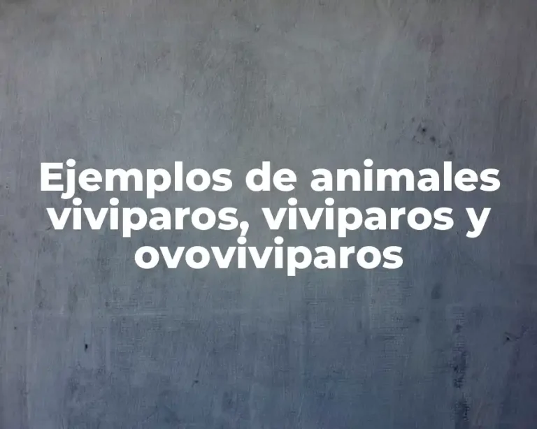 Ejemplos de animales viviparos, viviparos y ovoviviparos