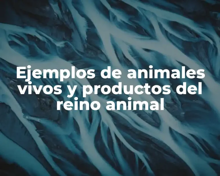 Ejemplos de animales vivos y productos del reino animal