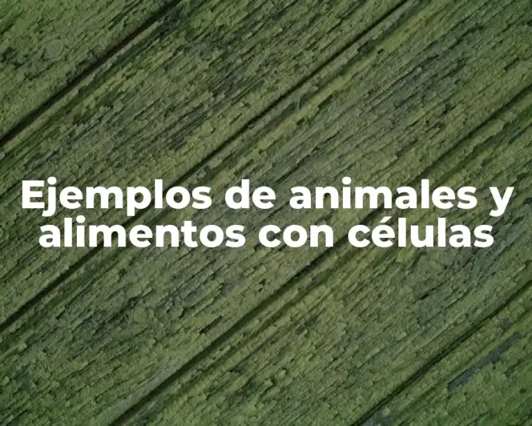 Ejemplos de animales y alimentos con células