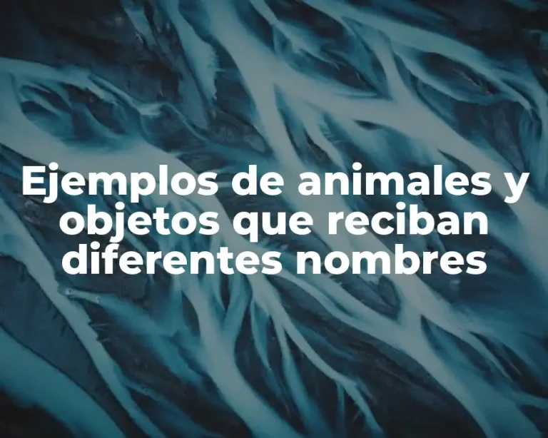 Ejemplos de animales y objetos que reciban diferentes nombres