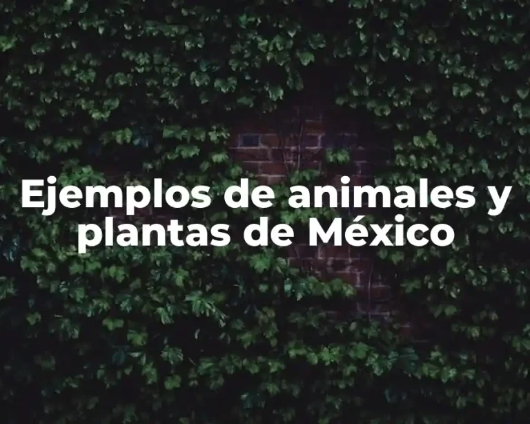 Ejemplos de animales y plantas de México
