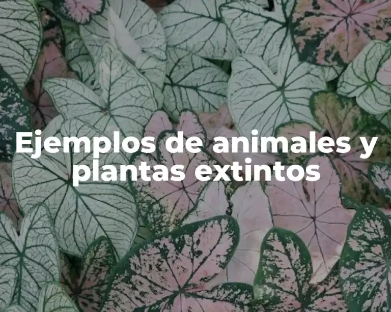 Ejemplos de animales y plantas extintos